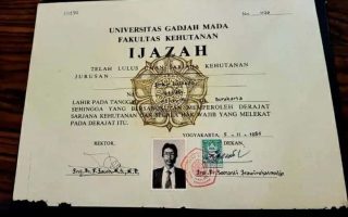 Lulus Pinter, Nganggur Nunggu: Mengapa Ijazah S1 Sekarang Hanya Kertas Antrean Kerja