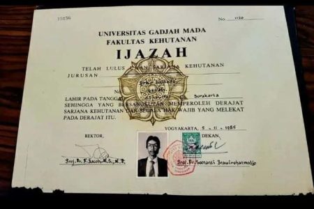 Lulus Pinter, Nganggur Nunggu: Mengapa Ijazah S1 Sekarang Hanya Kertas Antrean Kerja