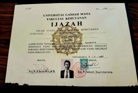 Lulus Pinter, Nganggur Nunggu: Mengapa Ijazah S1 Sekarang Hanya Kertas Antrean Kerja