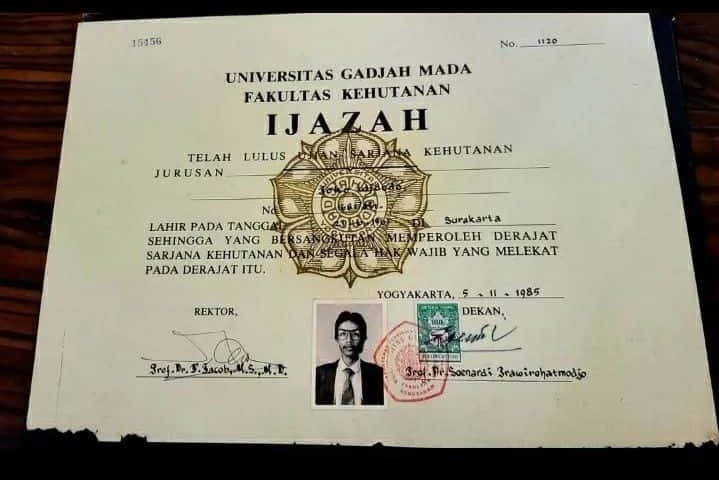 Lulus Pinter, Nganggur Nunggu: Mengapa Ijazah S1 Sekarang Hanya Kertas Antrean Kerja
