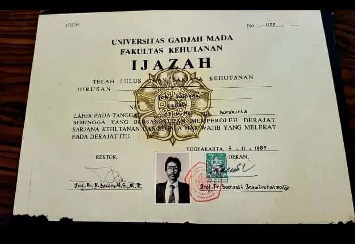 Lulus Pinter, Nganggur Nunggu: Mengapa Ijazah S1 Sekarang Hanya Kertas Antrean Kerja